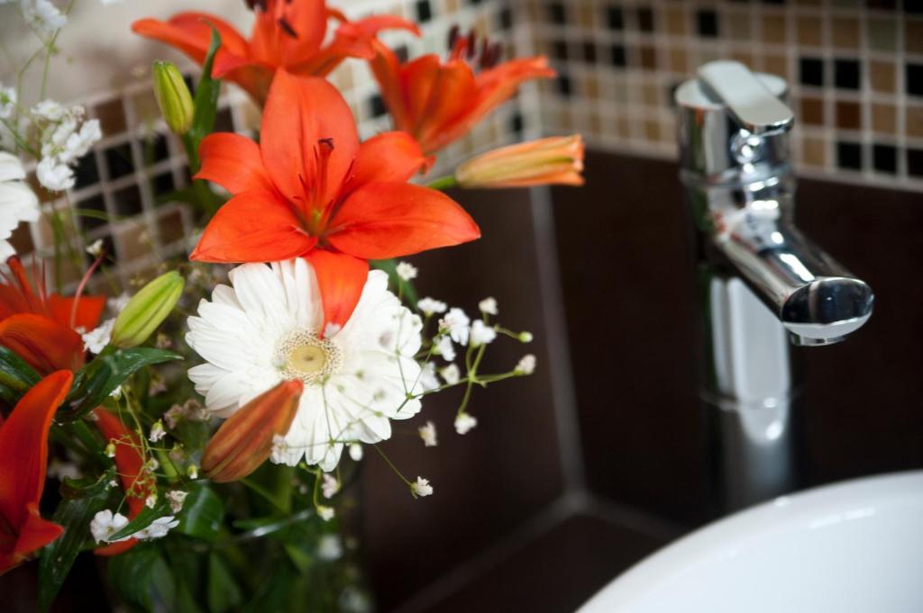 Casa Felicidad B&B Room & Kitchen Playa del Carmen Camera foto